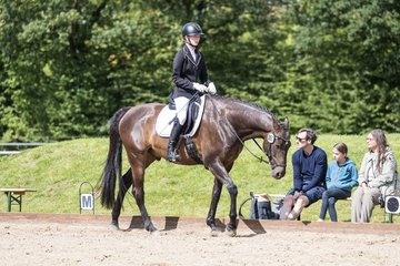 Bild 702 - Pony Akademie Turnier